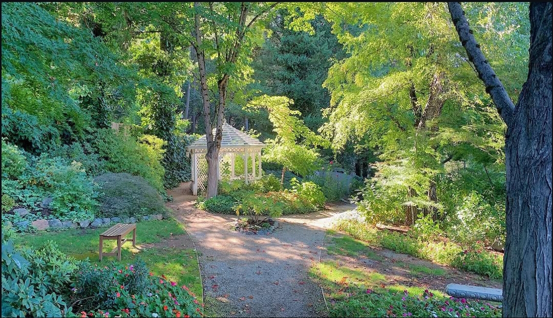 Garden gazebo in a lush woodland retreat
