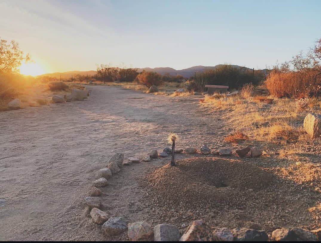 Stone circle at sunset in the desert