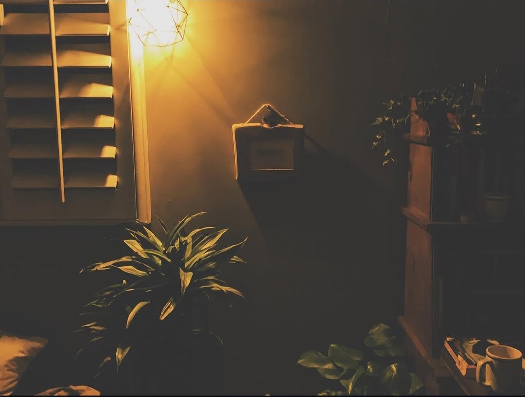 Warm lamplit interior corner with shutters and houseplants