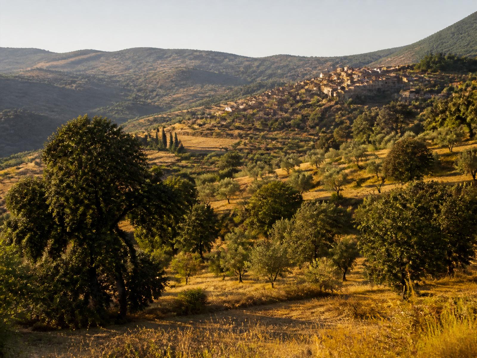 Golden hills and a hilltop village in the interior of central Portugal.